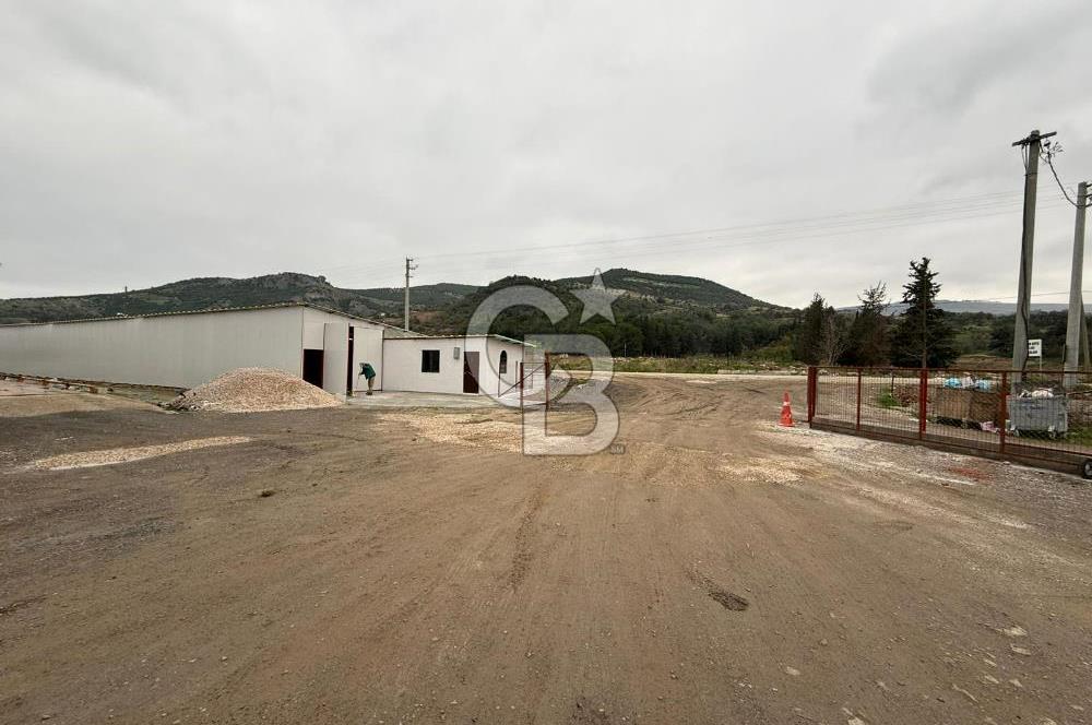 Çanakkale Merkez Saraycık Köyü Kiralık Depo!