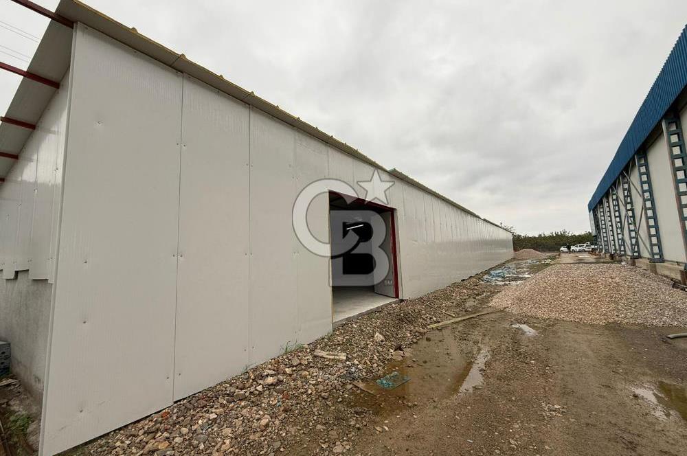 Çanakkale Merkez Saraycık Köyü Kiralık Depo!