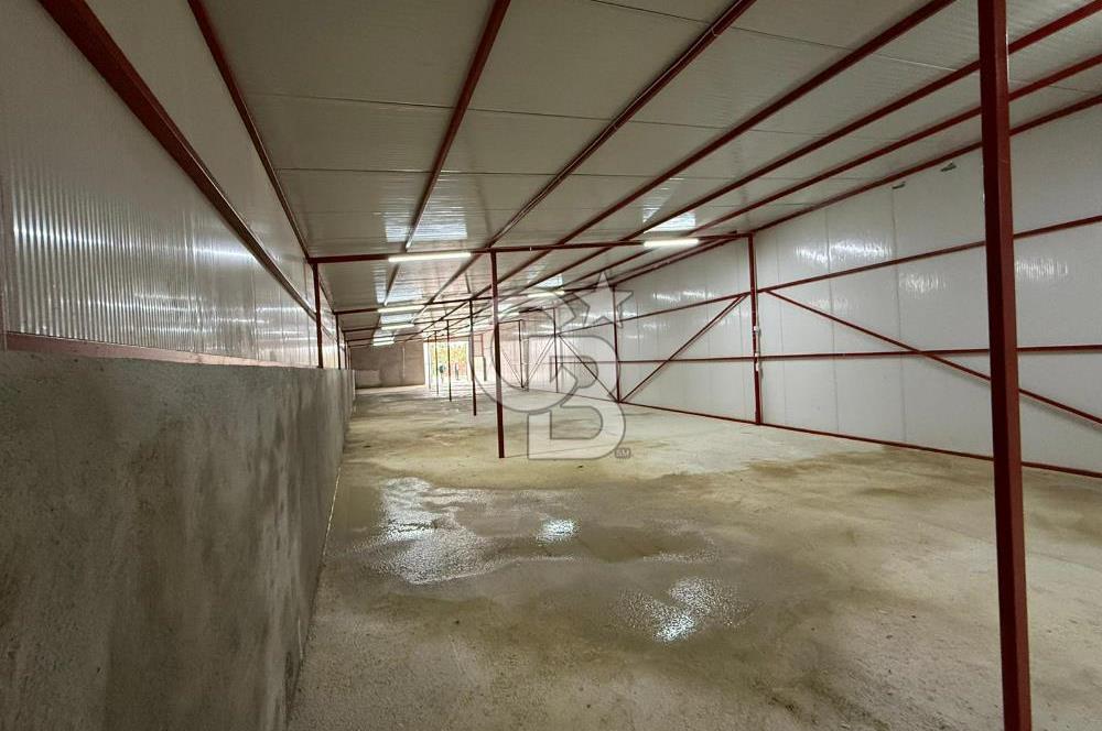 Çanakkale Merkez Saraycık Köyü Kiralık Depo!