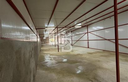 Çanakkale Merkez Saraycık Köyü Kiralık Depo!