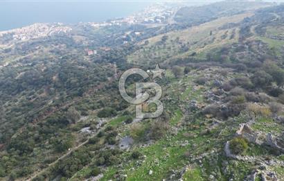 CB İYA’DAN İZMİR KARABURUN'DA SATILIK ARSA