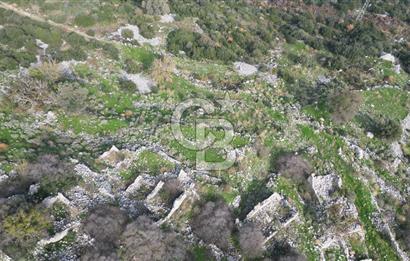 CB İYA’DAN İZMİR KARABURUN'DA SATILIK ARSA