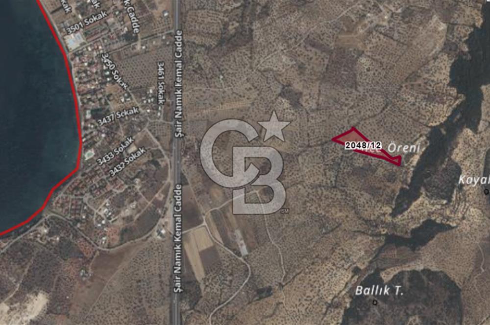 CB ODAK'TAN ALİAĞA AŞAĞIŞAKRAN'DA SATILIK 10 DÖNÜM ZEYTİNLİK