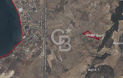 CB ODAK'TAN ALİAĞA AŞAĞIŞAKRAN'DA SATILIK 10 DÖNÜM ZEYTİNLİK