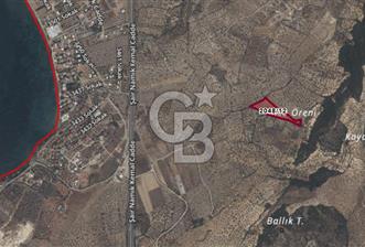 CB ODAK'TAN ALİAĞA AŞAĞIŞAKRAN'DA SATILIK 10 DÖNÜM ZEYTİNLİK - 7 - 313094