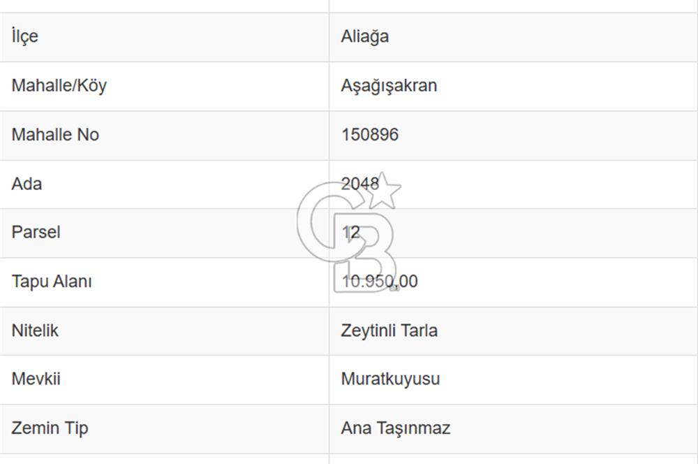CB ODAK'TAN ALİAĞA AŞAĞIŞAKRAN'DA SATILIK 10 DÖNÜM ZEYTİNLİK