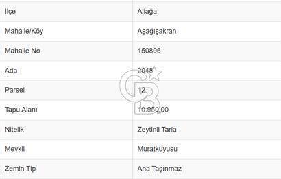 CB ODAK'TAN ALİAĞA AŞAĞIŞAKRAN'DA SATILIK 10 DÖNÜM ZEYTİNLİK