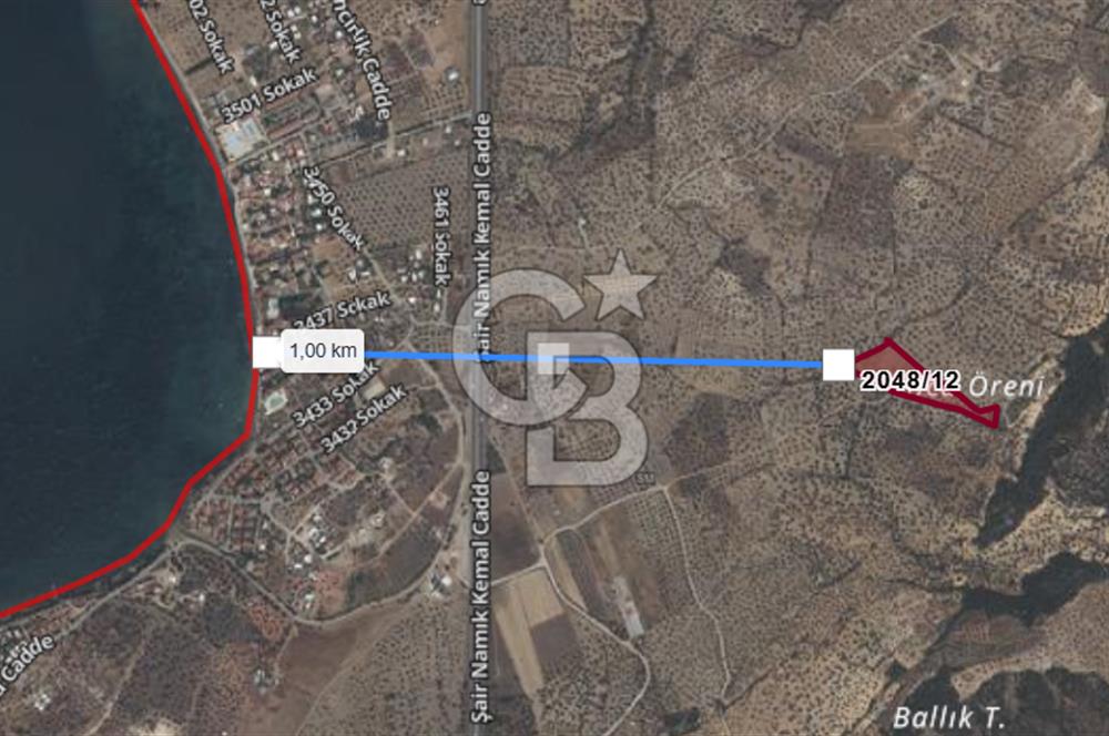 CB ODAK'TAN ALİAĞA AŞAĞIŞAKRAN'DA SATILIK 10 DÖNÜM ZEYTİNLİK