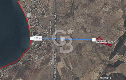 CB ODAK'TAN ALİAĞA AŞAĞIŞAKRAN'DA SATILIK 10 DÖNÜM ZEYTİNLİK