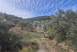 TTorbalı Dağkızılca 273 m2 Hisse Tapulu Parsel - 2 - 313126