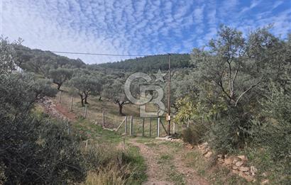 TTorbalı Dağkızılca 273 m2 Hisse Tapulu Parsel