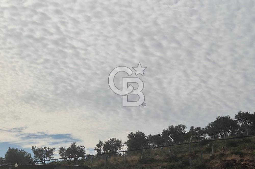 TTorbalı Dağkızılca 273 m2 Hisse Tapulu Parsel