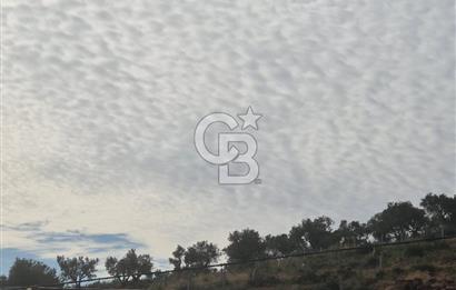 TTorbalı Dağkızılca 273 m2 Hisse Tapulu Parsel