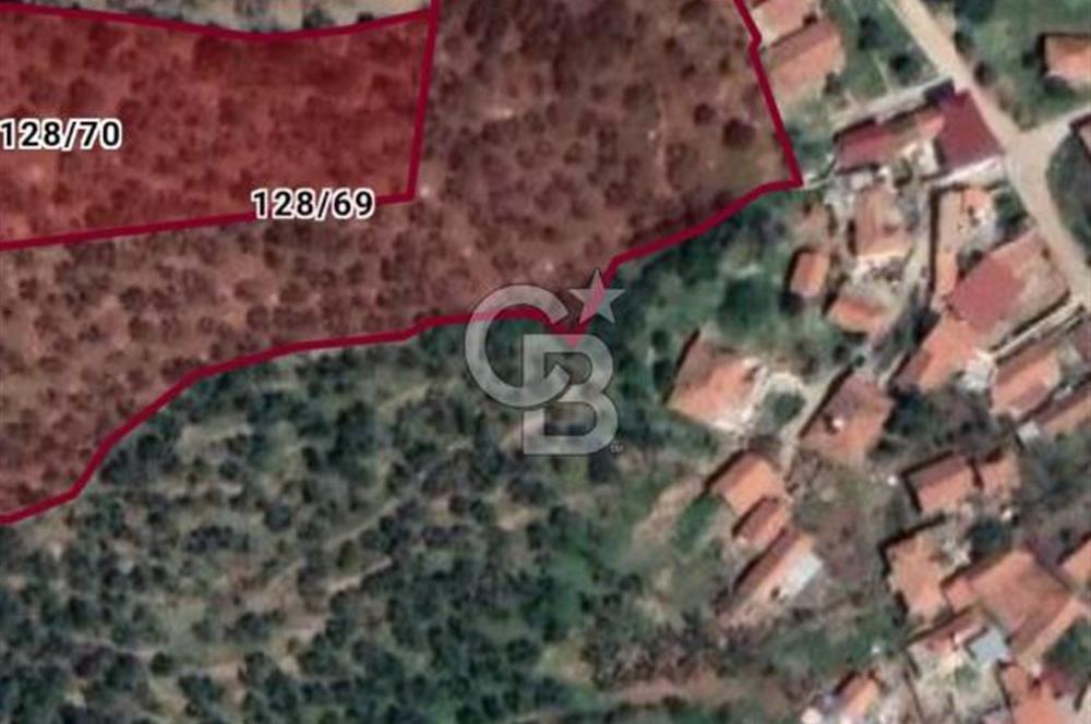 TTorbalı Dağkızılca 273 m2 Hisse Tapulu Parsel