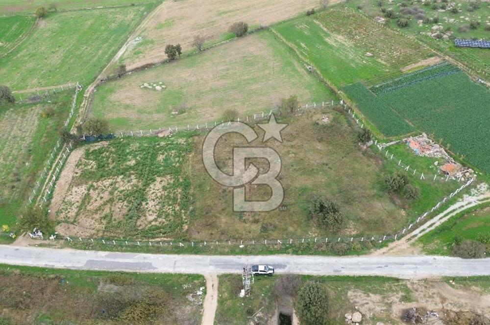 Çanakkale Ezine Uluköy 5195 M2 Satılık Tarla!