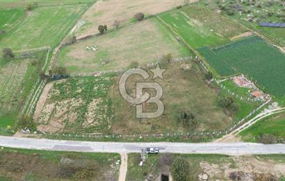 Çanakkale Ezine Uluköy 5195 M2 Satılık Tarla!