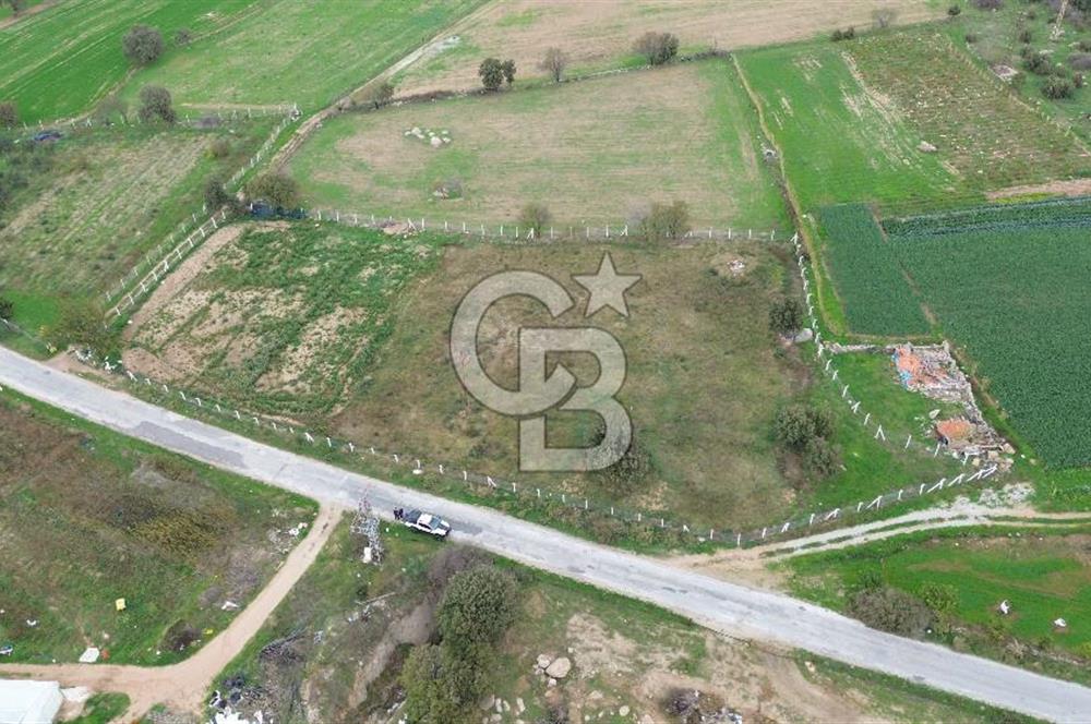 Çanakkale Ezine Uluköy 5195 M2 Satılık Tarla!