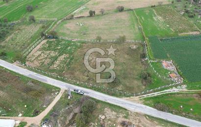 Çanakkale Ezine Uluköy 5195 M2 Satılık Tarla!