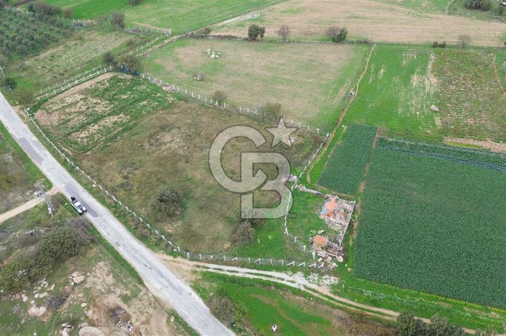 Çanakkale Ezine Uluköy 5195 M2 Satılık Tarla!