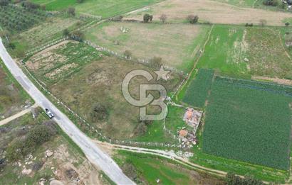 Çanakkale Ezine Uluköy 5195 M2 Satılık Tarla!