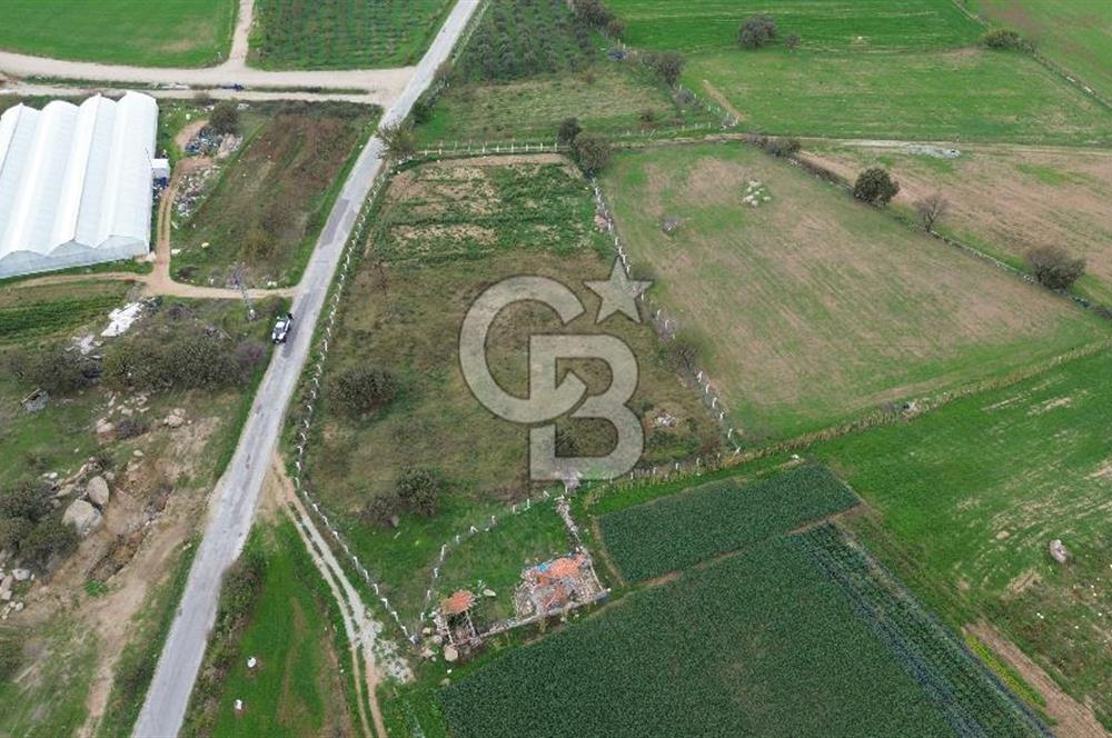 Çanakkale Ezine Uluköy 5195 M2 Satılık Tarla!