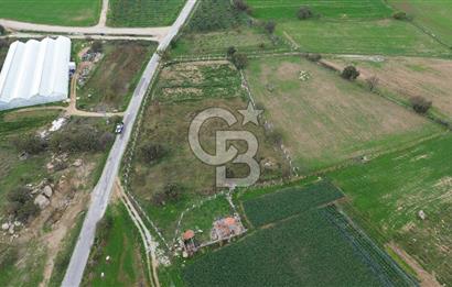Çanakkale Ezine Uluköy 5195 M2 Satılık Tarla!