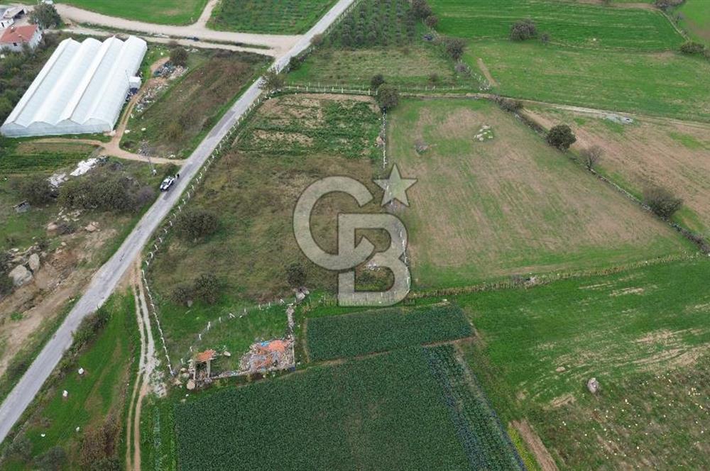 Çanakkale Ezine Uluköy 5195 M2 Satılık Tarla!