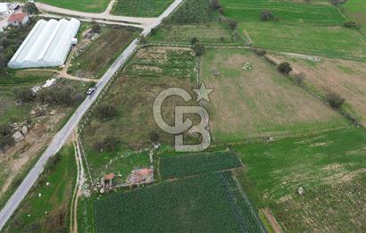 Çanakkale Ezine Uluköy 5195 M2 Satılık Tarla!