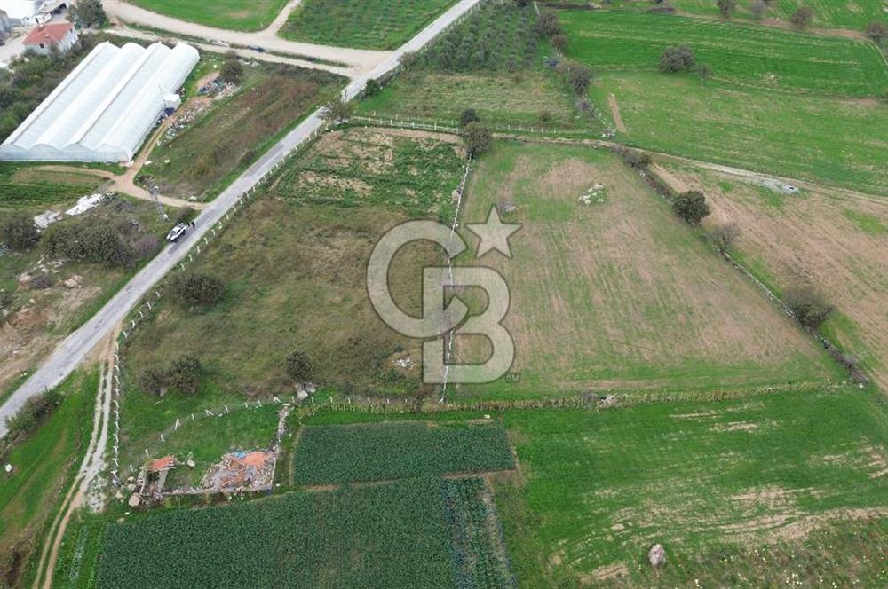 Çanakkale Ezine Uluköy 5195 M2 Satılık Tarla!