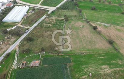 Çanakkale Ezine Uluköy 5195 M2 Satılık Tarla!