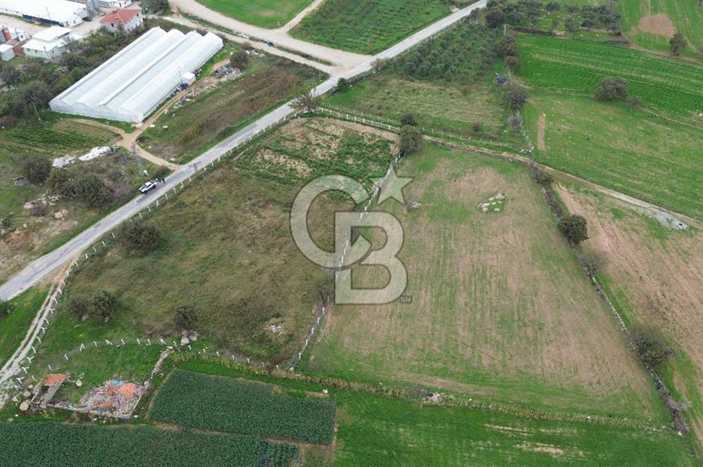 Çanakkale Ezine Uluköy 5195 M2 Satılık Tarla!