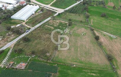 Çanakkale Ezine Uluköy 5195 M2 Satılık Tarla!