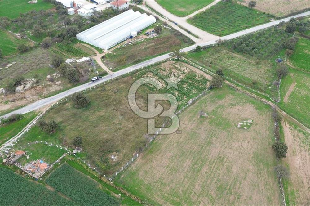 Çanakkale Ezine Uluköy 5195 M2 Satılık Tarla!