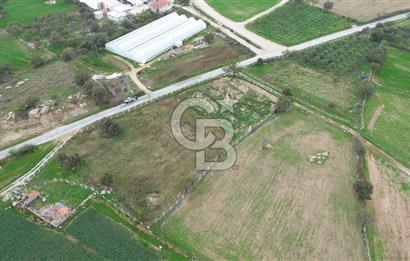 Çanakkale Ezine Uluköy 5195 M2 Satılık Tarla!