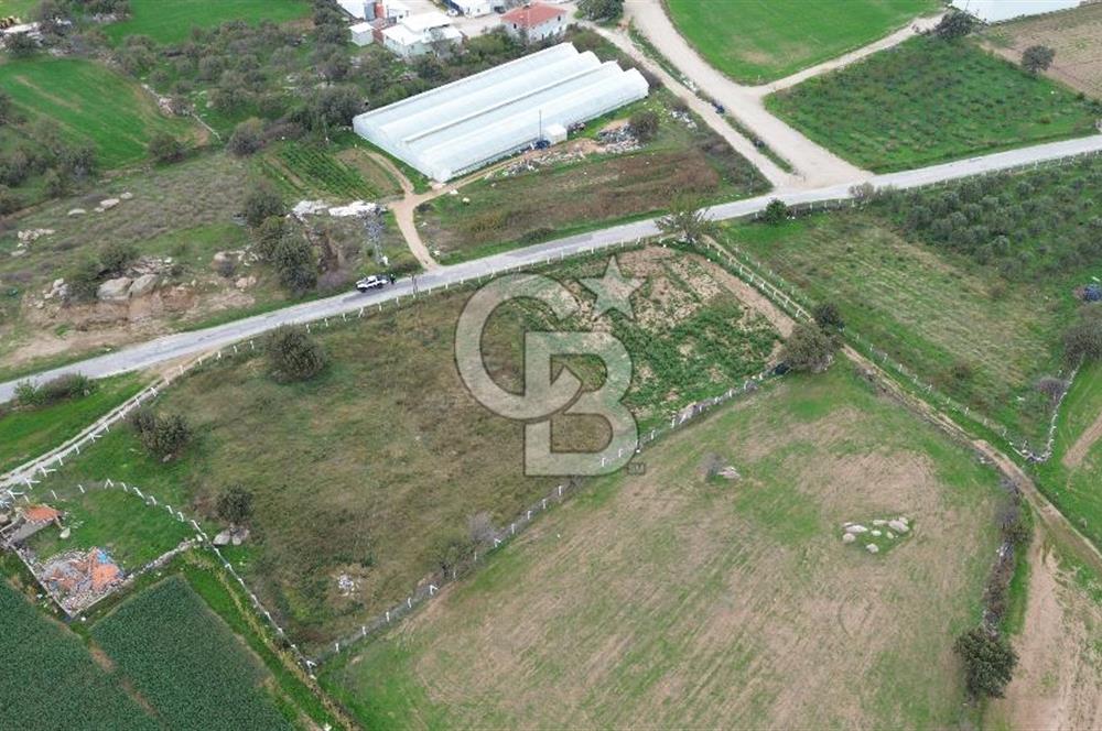 Çanakkale Ezine Uluköy 5195 M2 Satılık Tarla!