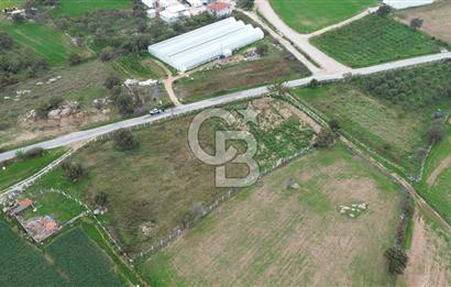 Çanakkale Ezine Uluköy 5195 M2 Satılık Tarla!