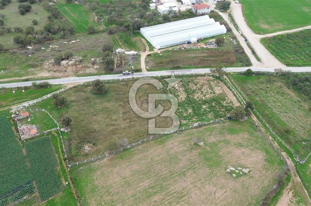 Çanakkale Ezine Uluköy 5195 M2 Satılık Tarla!