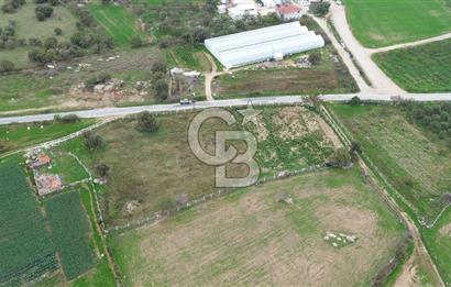 Çanakkale Ezine Uluköy 5195 M2 Satılık Tarla!