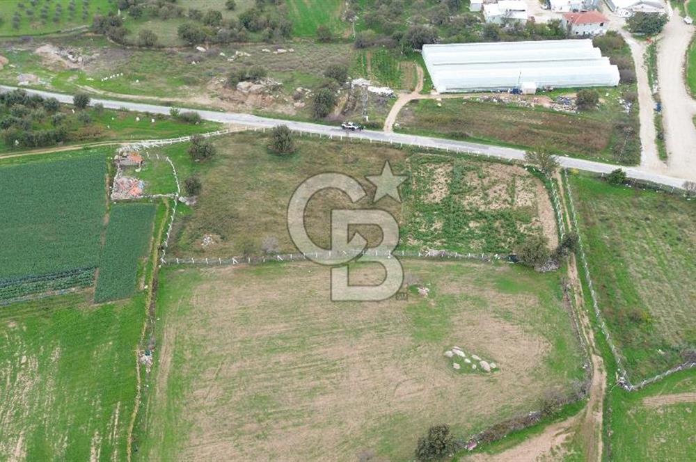 Çanakkale Ezine Uluköy 5195 M2 Satılık Tarla!