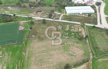 Çanakkale Ezine Uluköy 5195 M2 Satılık Tarla!