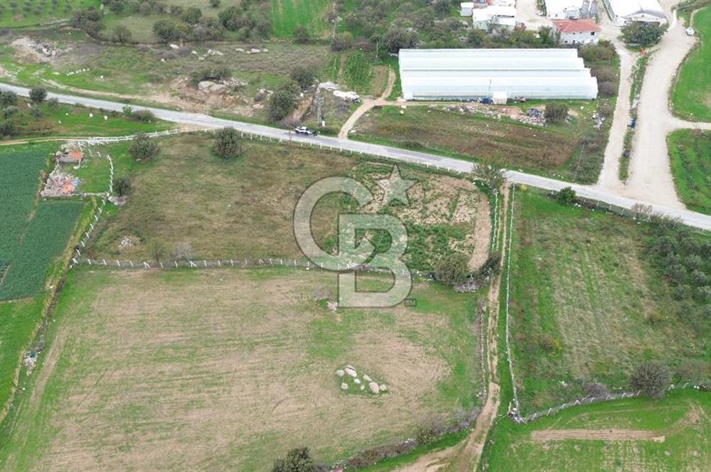 Çanakkale Ezine Uluköy 5195 M2 Satılık Tarla!