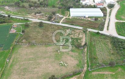 Çanakkale Ezine Uluköy 5195 M2 Satılık Tarla!