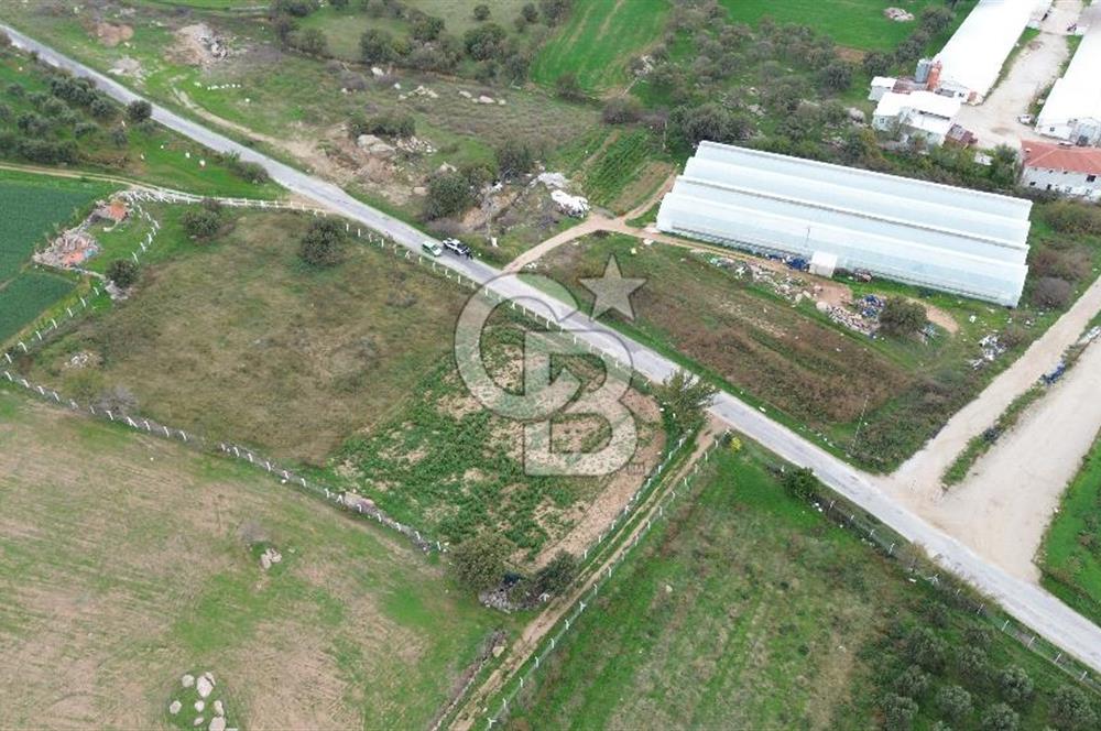 Çanakkale Ezine Uluköy 5195 M2 Satılık Tarla!