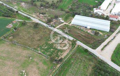 Çanakkale Ezine Uluköy 5195 M2 Satılık Tarla!