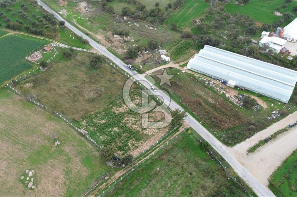 Çanakkale Ezine Uluköy 5195 M2 Satılık Tarla!