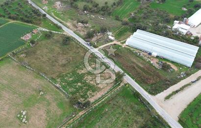 Çanakkale Ezine Uluköy 5195 M2 Satılık Tarla!