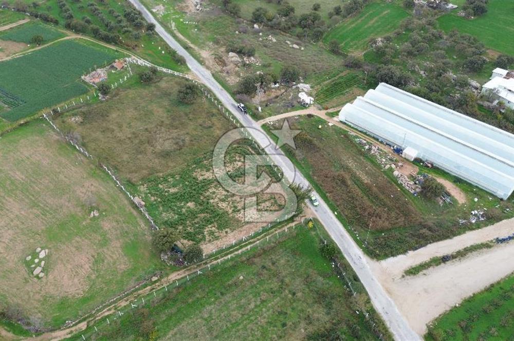 Çanakkale Ezine Uluköy 5195 M2 Satılık Tarla!