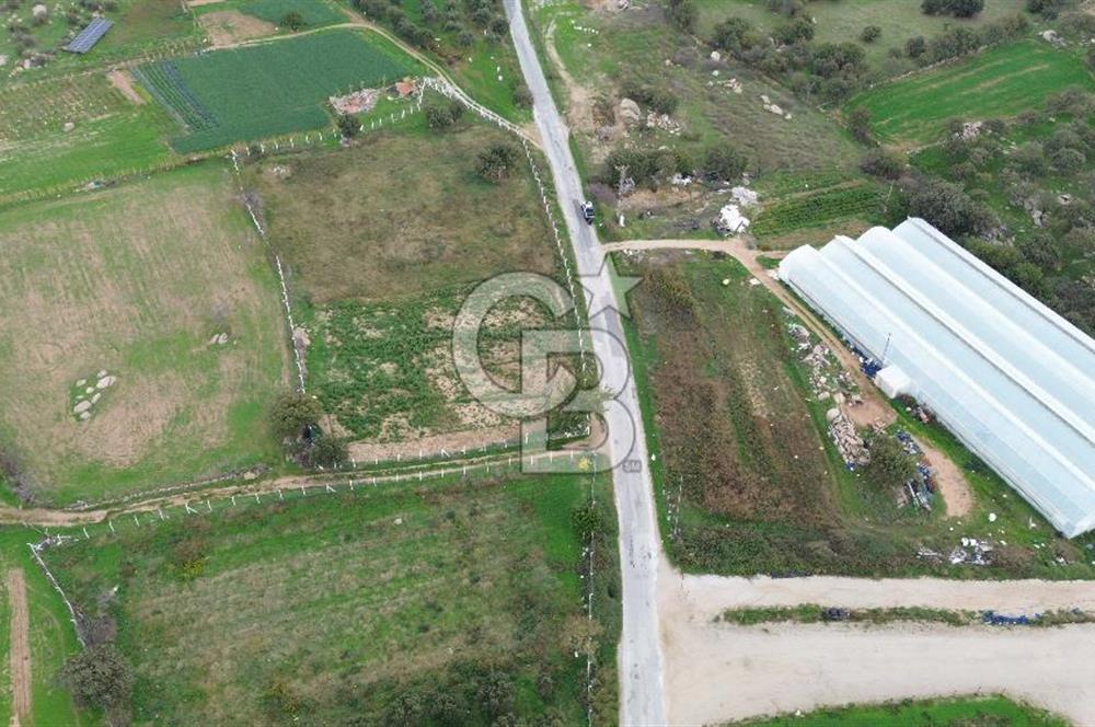 Çanakkale Ezine Uluköy 5195 M2 Satılık Tarla!