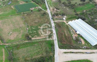 Çanakkale Ezine Uluköy 5195 M2 Satılık Tarla!