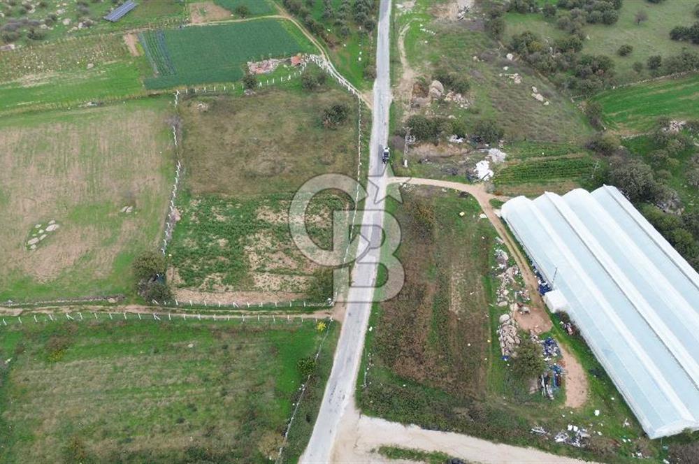 Çanakkale Ezine Uluköy 5195 M2 Satılık Tarla!